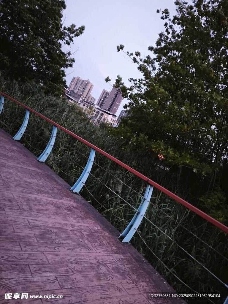 林间步道