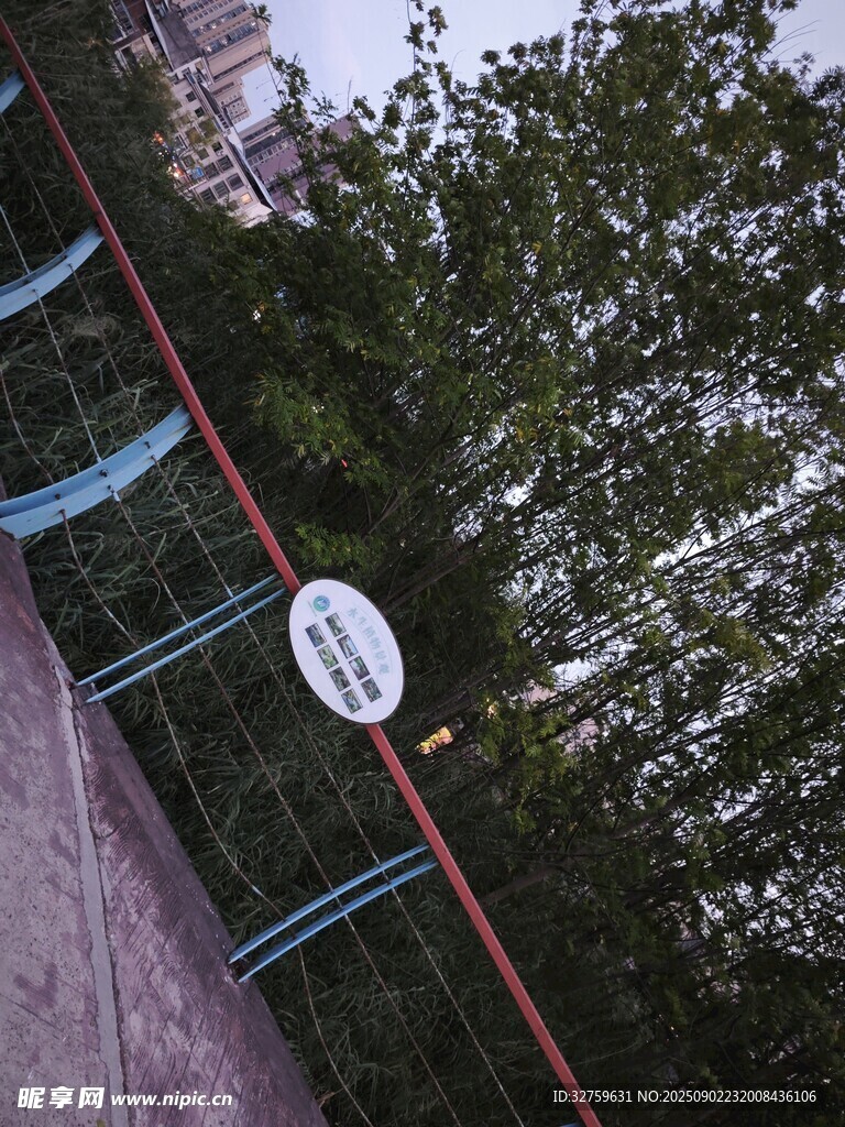 户外限速标志与绿植景观