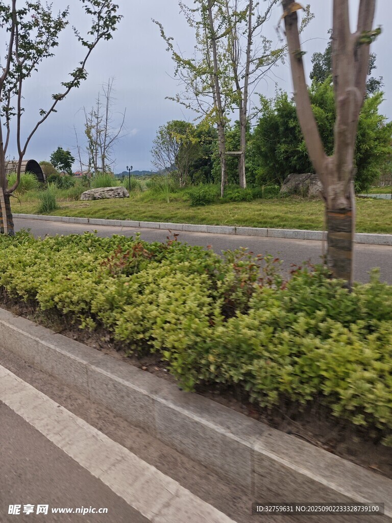 路边绿植景观