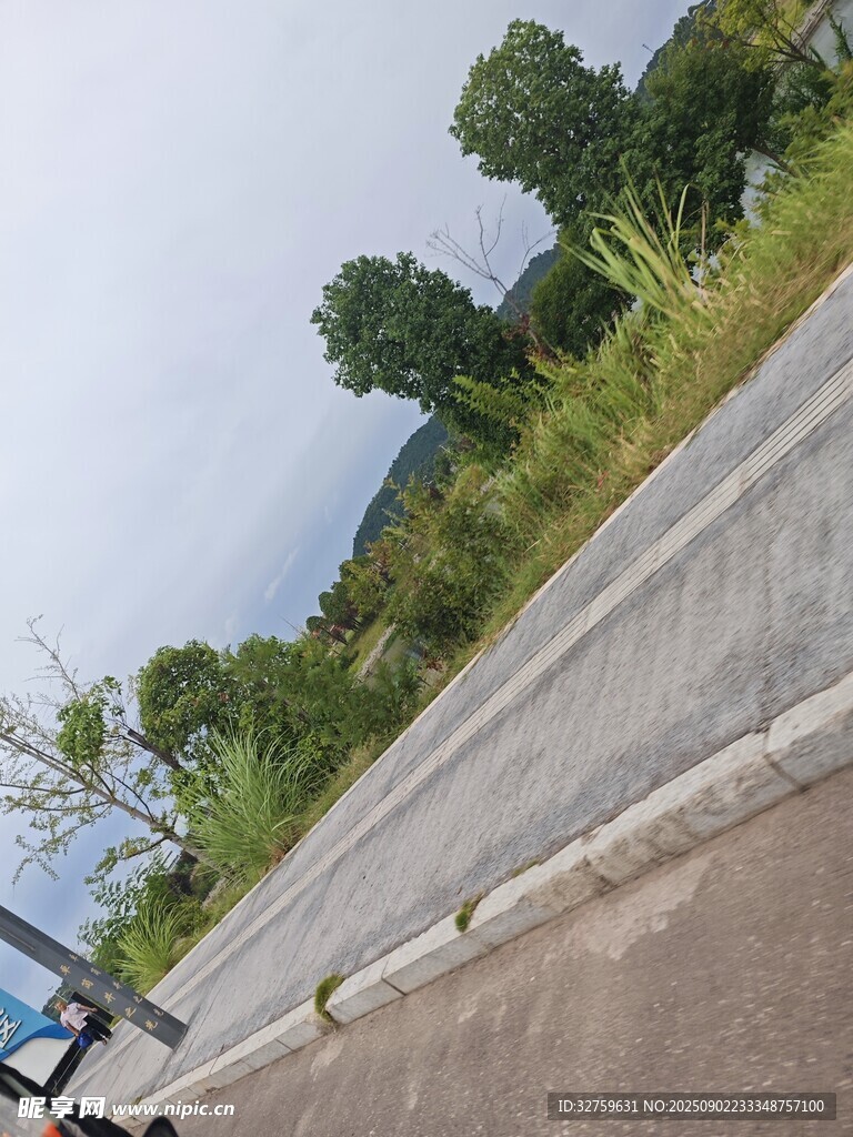 乡村路旁绿意盎然的景致