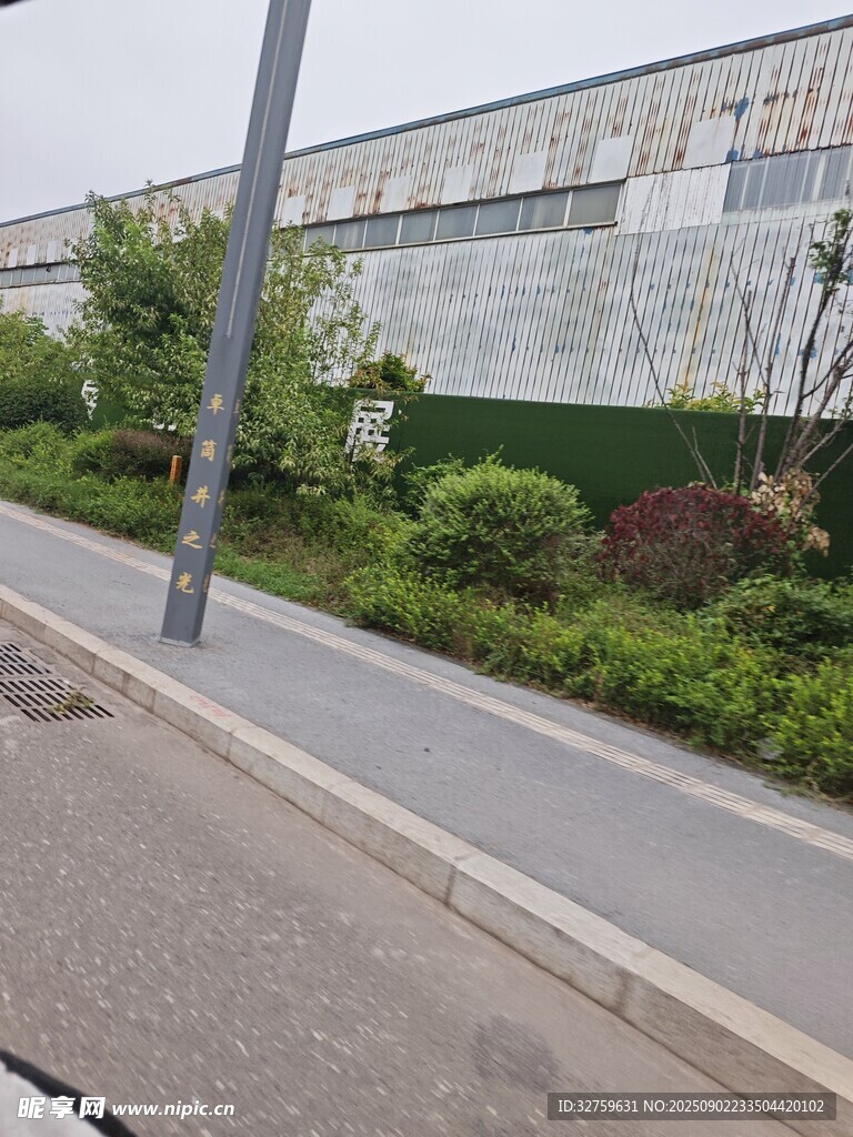 路边绿化带与建筑景观
