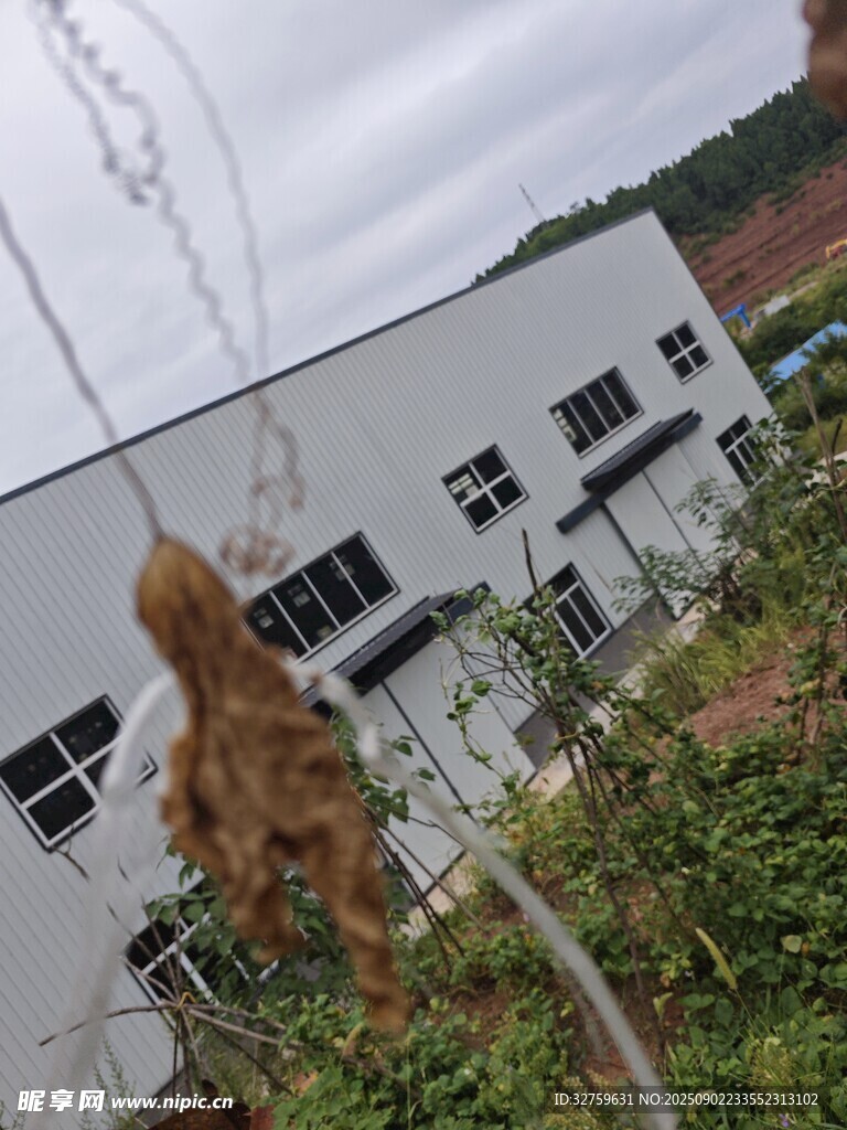 工厂外景与周边绿植