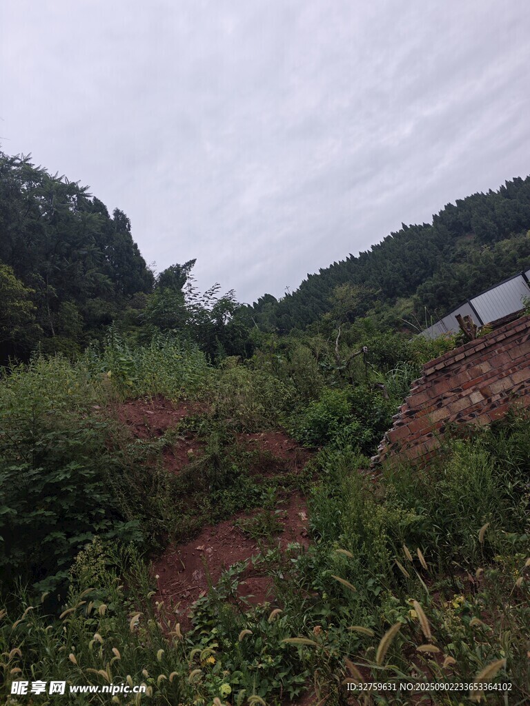 山间植被与远处建筑景观