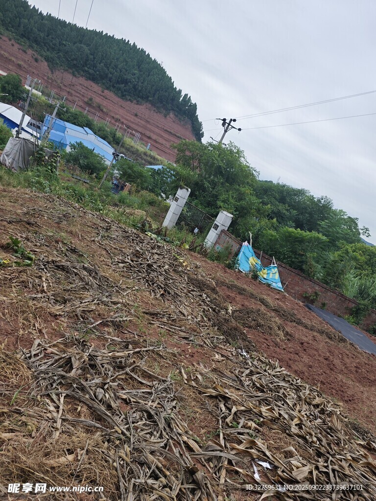 山坡上的木材堆放场景