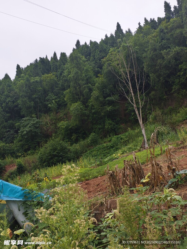 山间田园风光景色