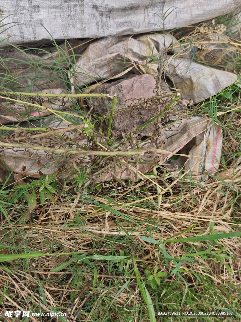 地面散落的石块与杂物