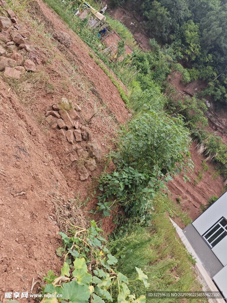 山坡绿植与泥土景观