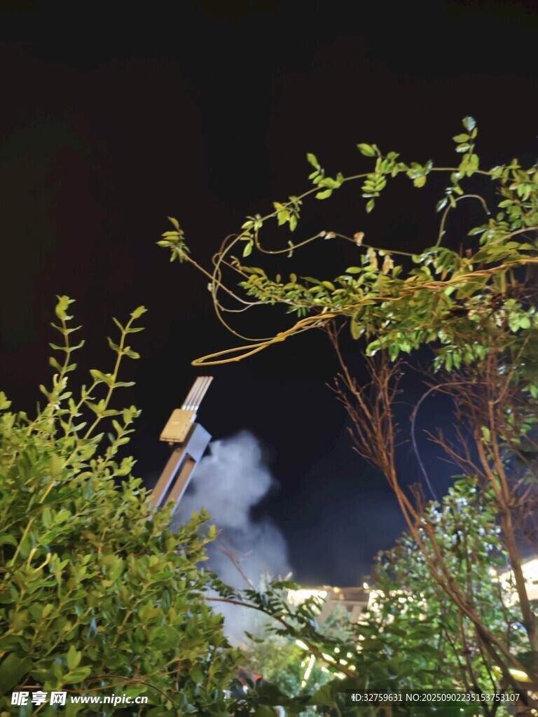 夜空中绽放的绚烂烟花