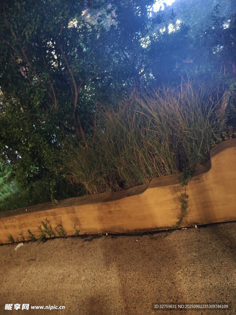户外草地旁的木质长条凳
