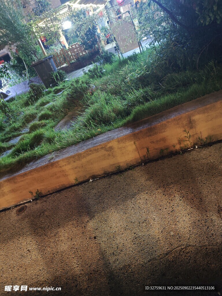 木质边缘的翠绿苔藓景观