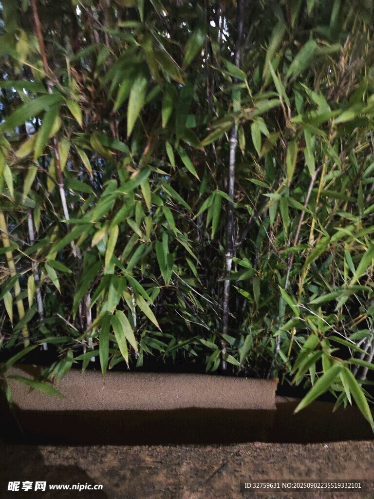 竹林中的古朴长凳