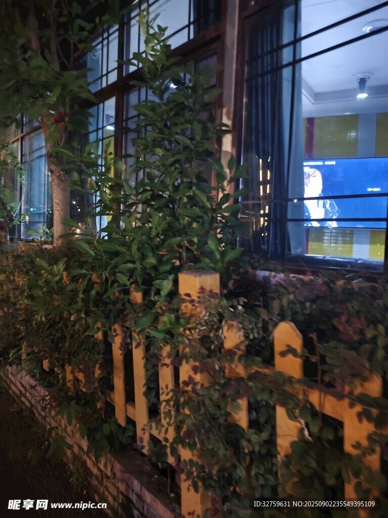 室内绿植景观 
