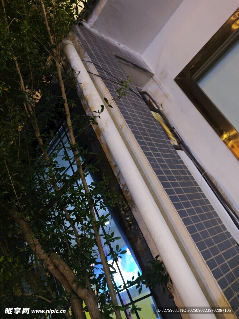 户外管道旁的绿植景观