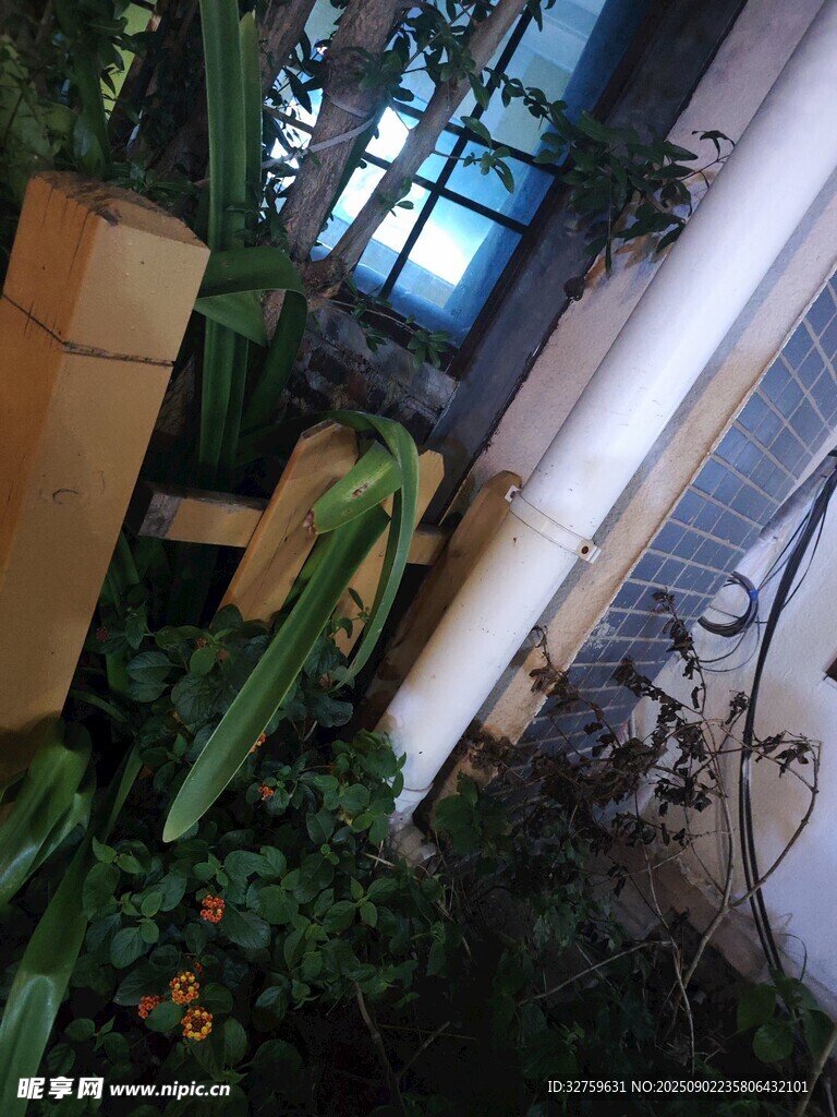 室内绿植角落景观