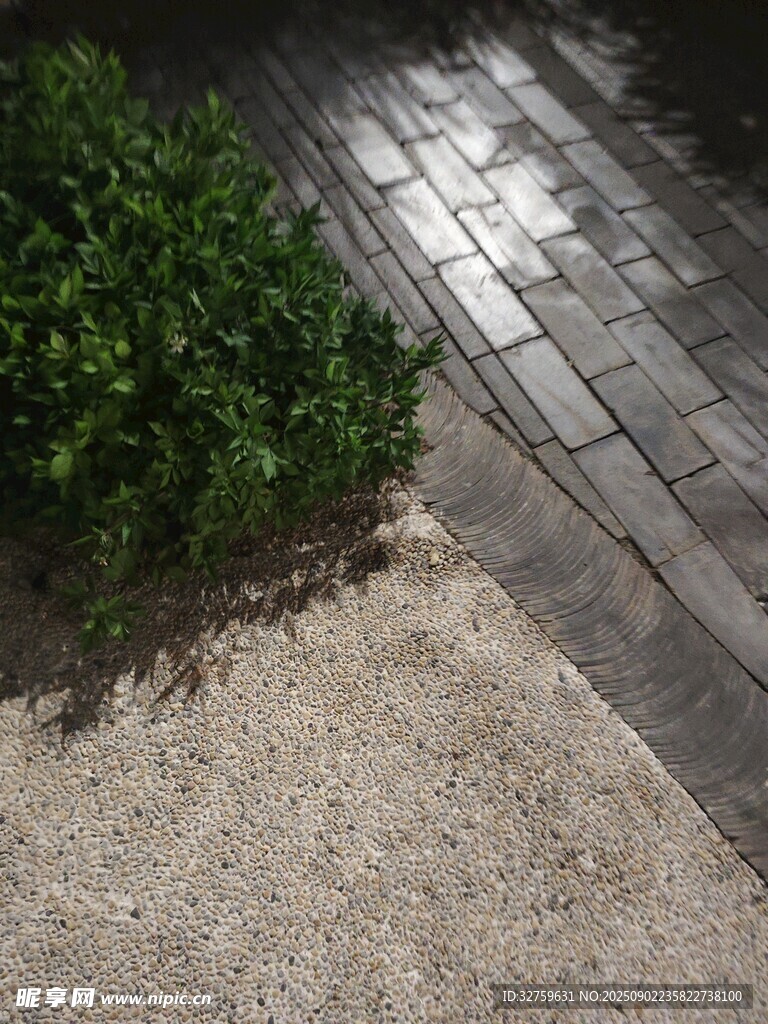 雨后砖石路面与绿植景观