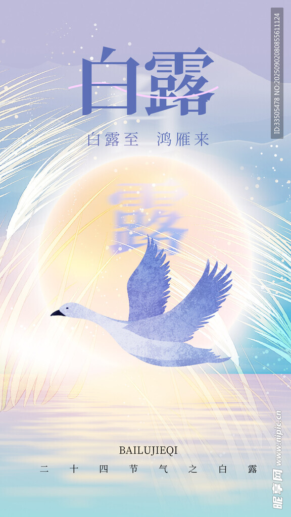 白露