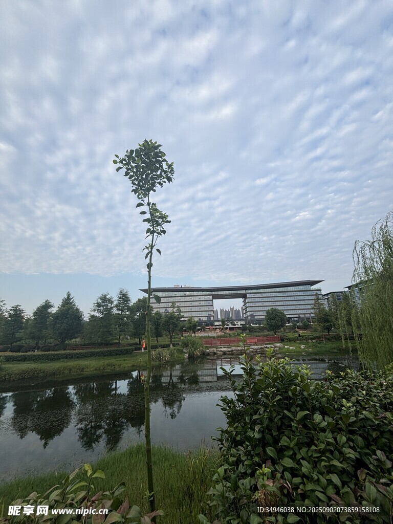 湖畔绿树环绕的静谧建筑
