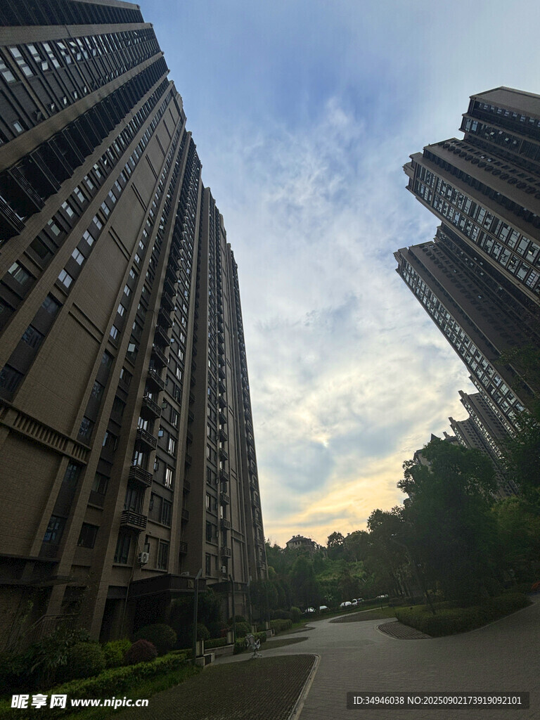 高层住宅区的静谧道路