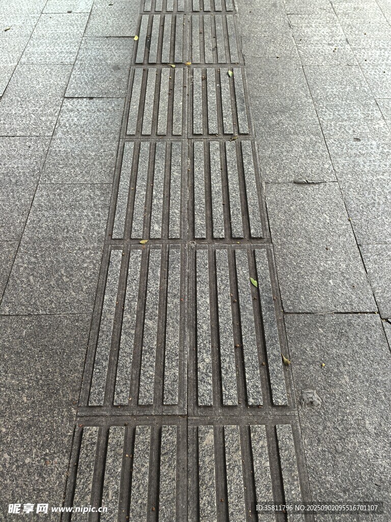 盲道