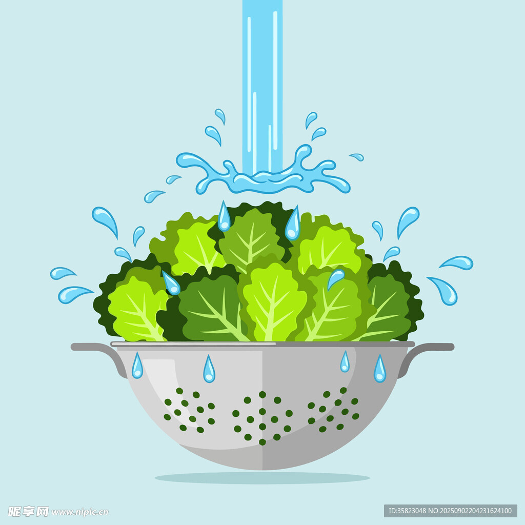 新鲜蔬菜插图