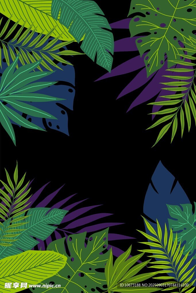 热带植物环绕的黑色背景