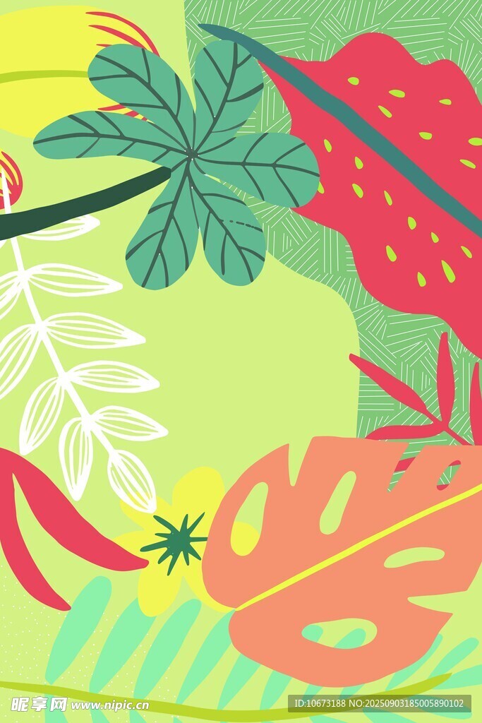 热带植物插画