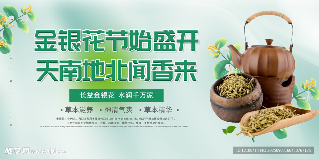 金银花