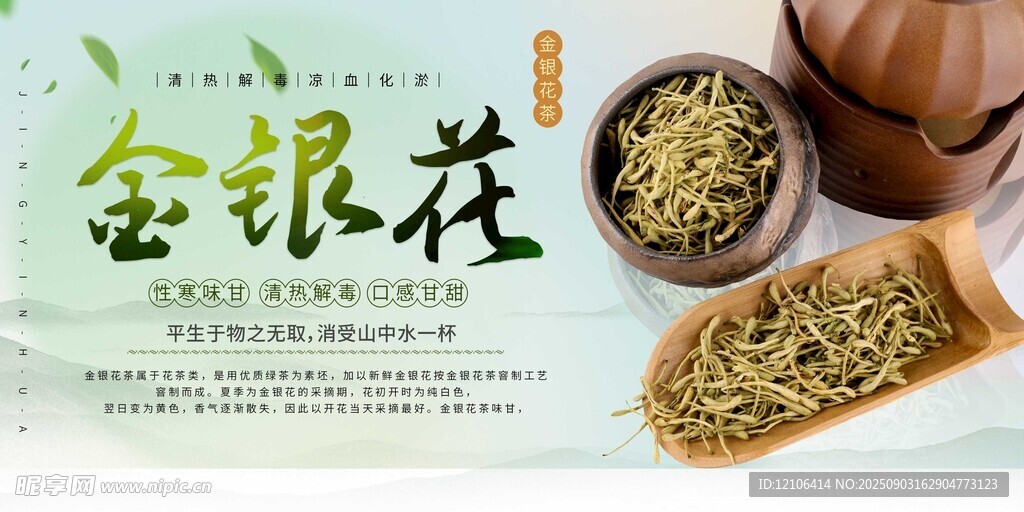 传统中药材金银花展示