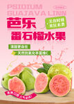 芭乐番石榴