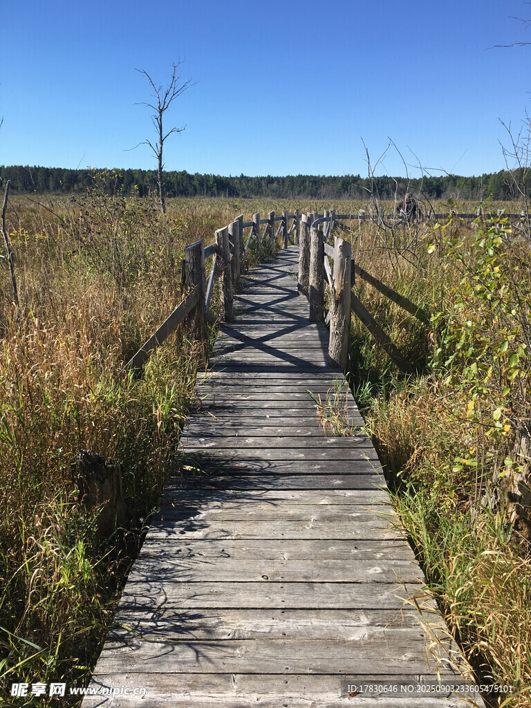 木栈道穿行于秋日草地