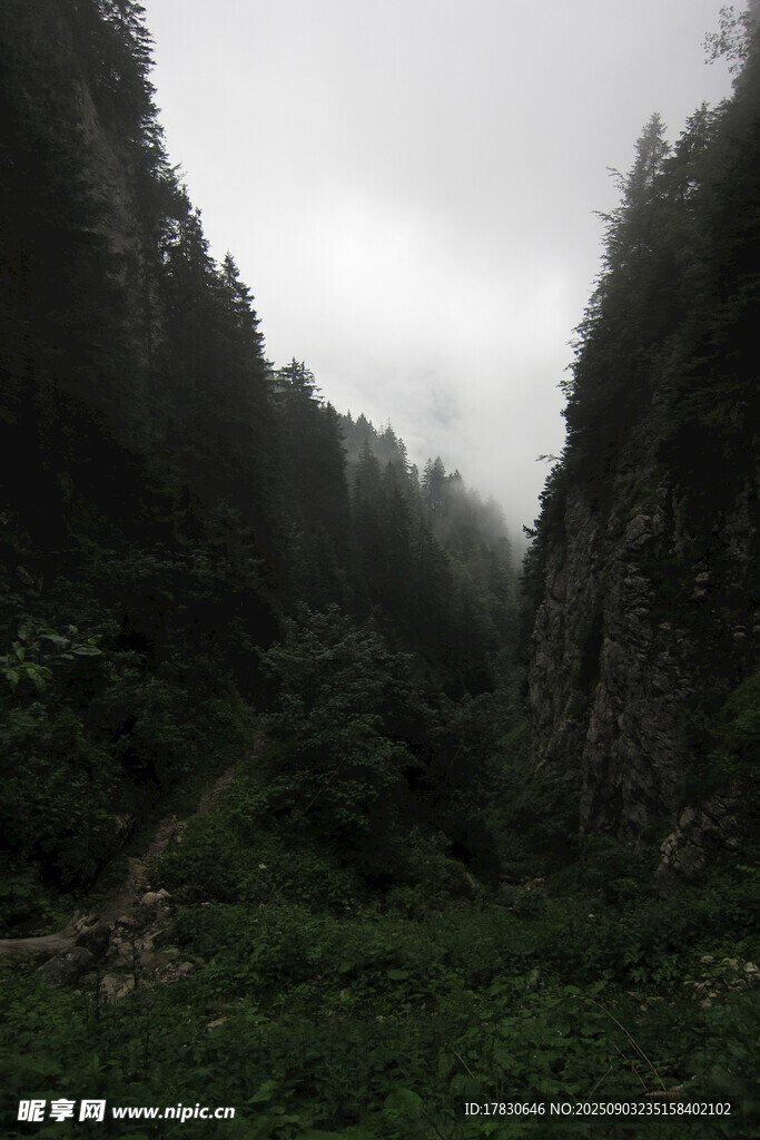 山间迷雾中的葱郁峡谷