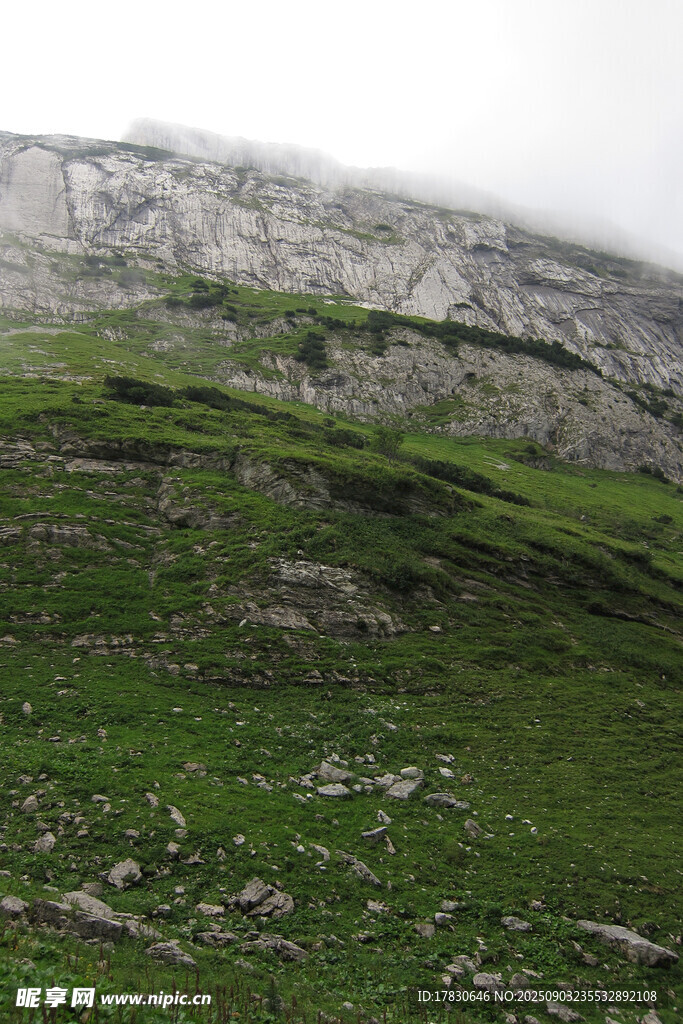 高山草甸的自然景致