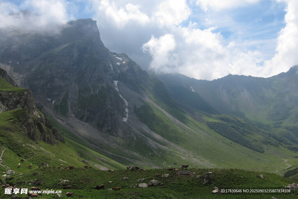高山绿野间的壮丽云海景观