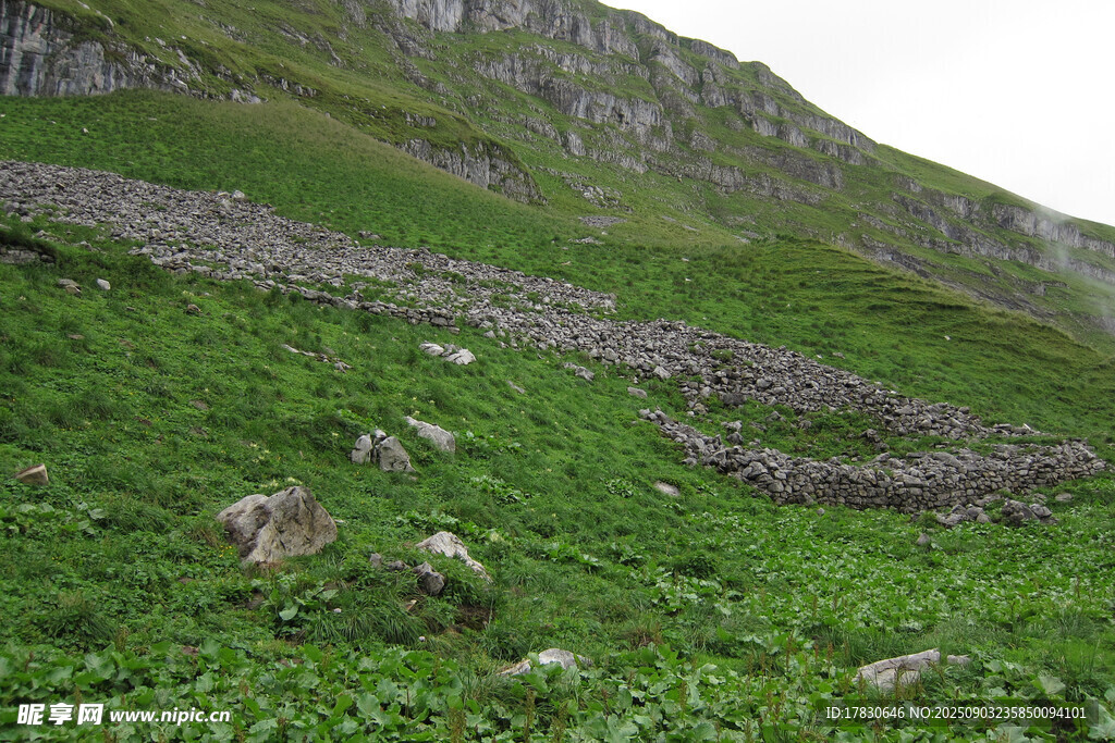 山间翠绿草地与岩石景观
