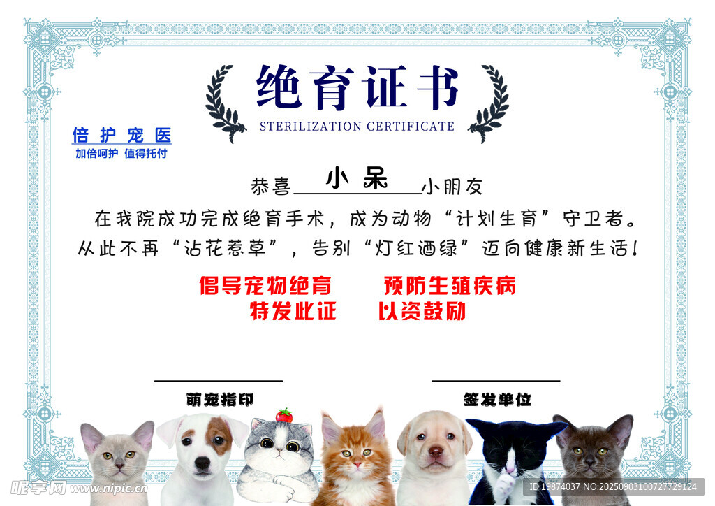 猫咪绝育证书展示