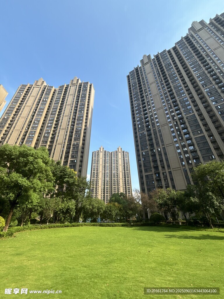 城市草坪旁的高楼景观