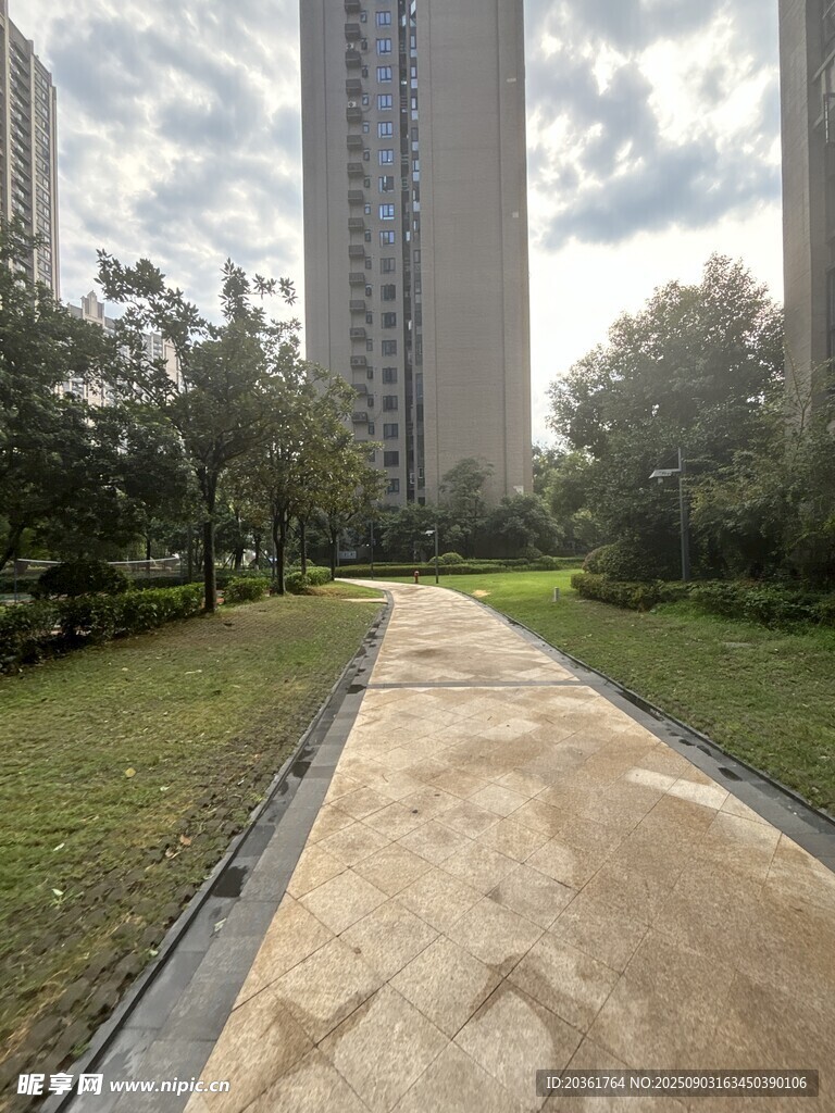 城市中静谧的林荫步道