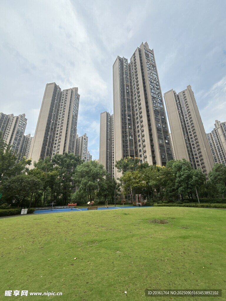 城市绿地旁的高楼建筑群