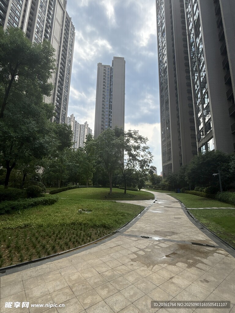 城市小区内的绿化景观道