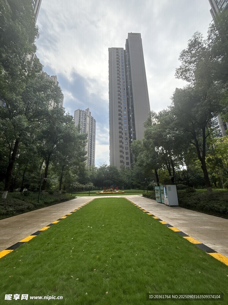 城市中的绿地与高楼景观