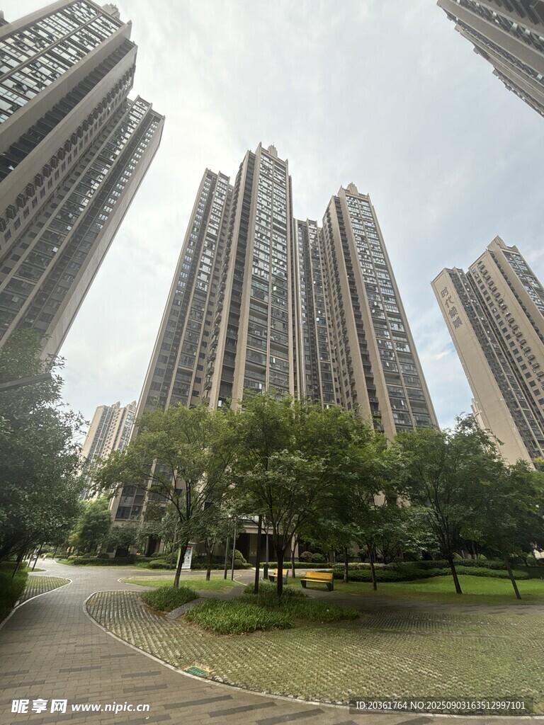 城市高楼旁的绿化景观