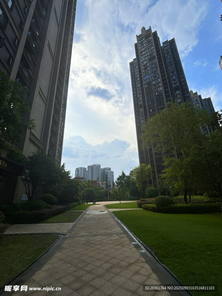 小区内的宁静林荫步道