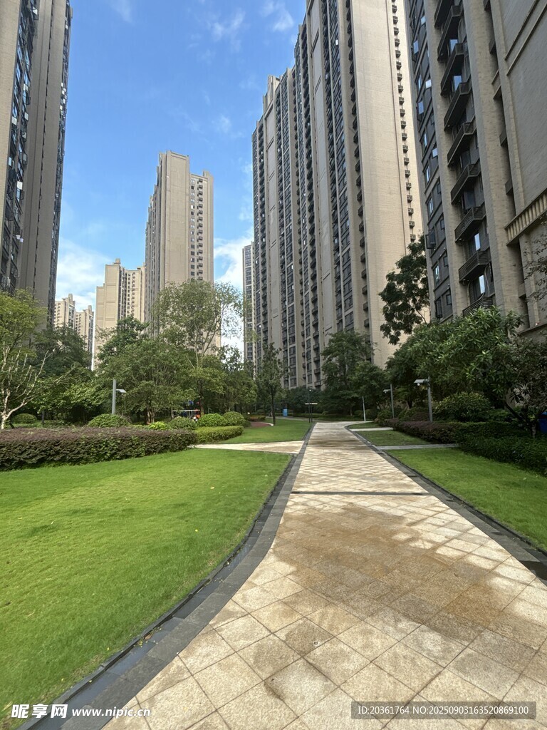 城市中的静谧绿化小径