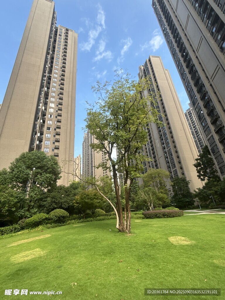高层住宅旁的绿意草坪