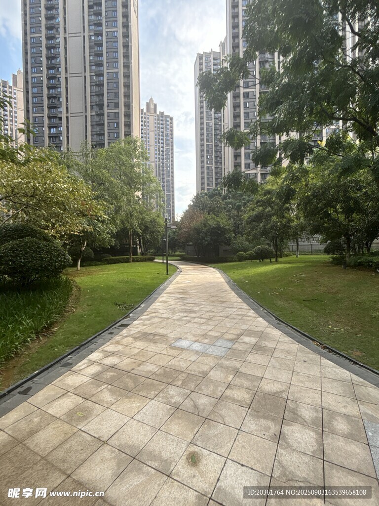 城市中静谧的林荫步道