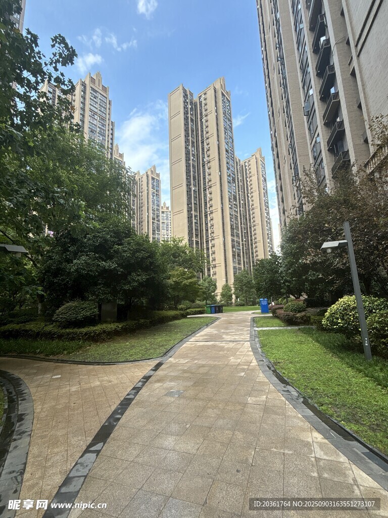 城市中的静谧林荫小道