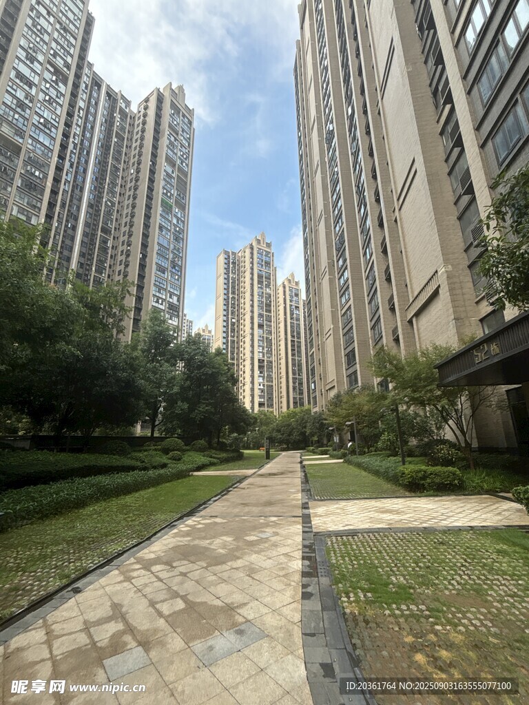 小区内的优美景观步道