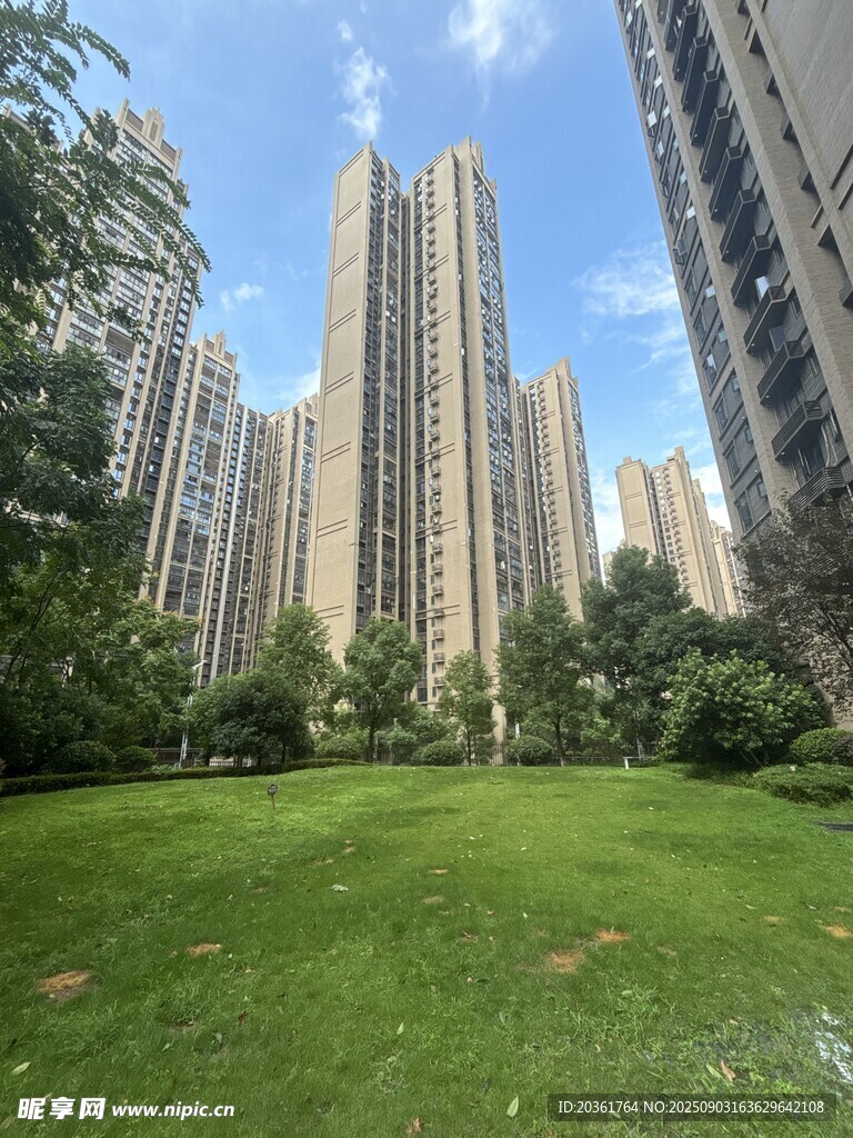 城市中的绿地与高楼景观