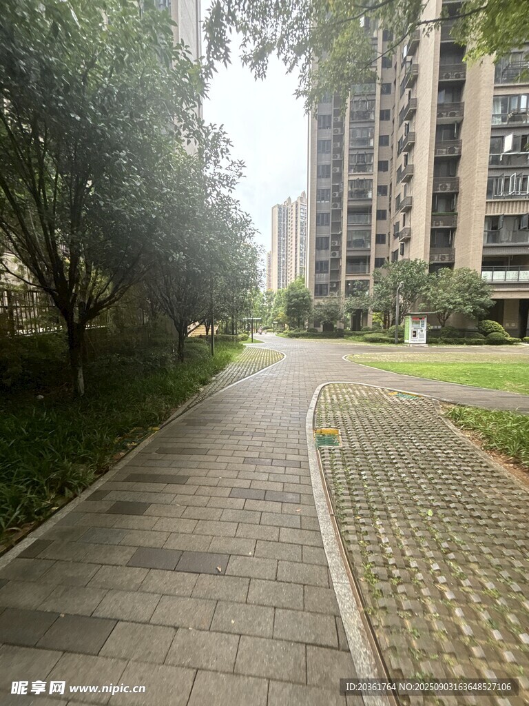 小区内的宁静林荫步道