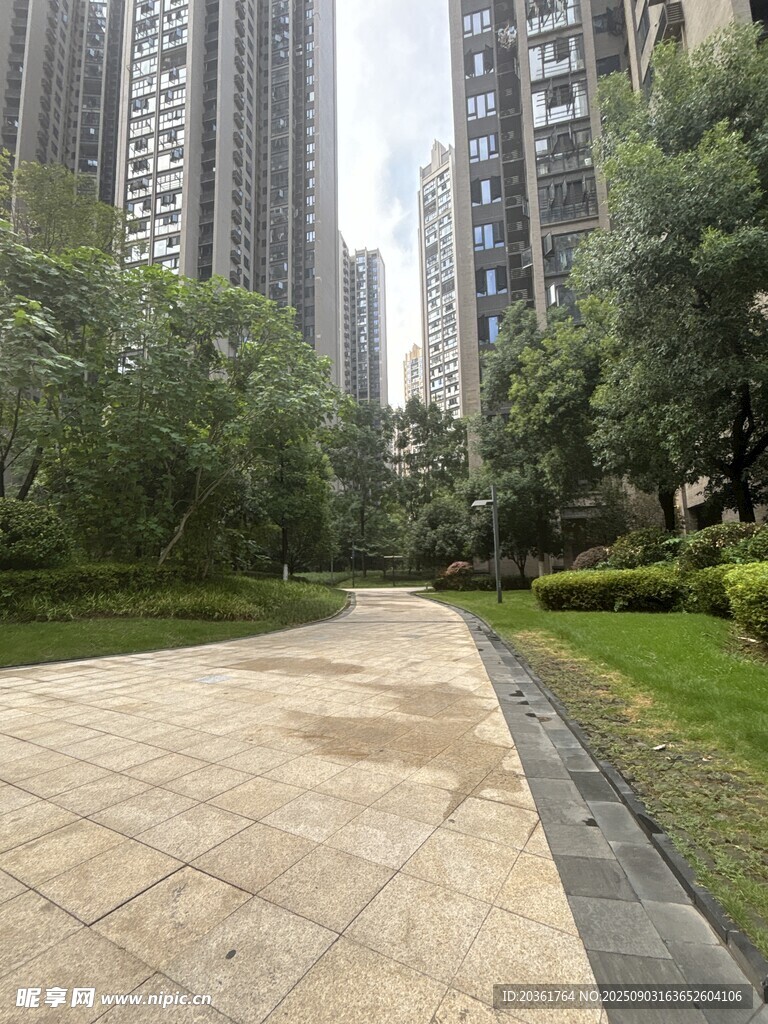城市中的静谧林荫步道